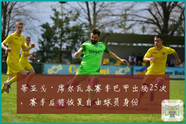 蒂亚戈·席尔瓦本赛季巴甲出场25次，赛季后将恢复自由球员身份