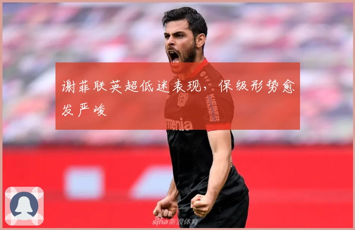 谢菲联英超低迷表现，保级形势愈发严峻