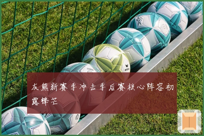 灰熊新赛季冲击季后赛核心阵容初露锋芒